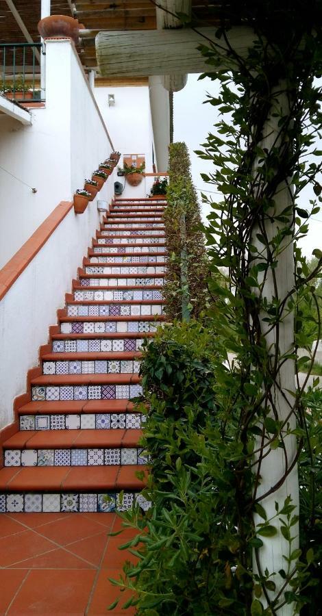 Circeea Beach B&B San Felice Circeo Eksteriør bilde